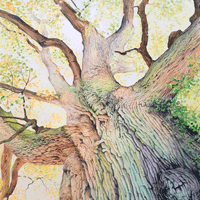 Karen Frampton, New Forest Artist, paintings, greeting cards, murals, slate, Hampshire, UK